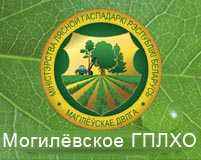 Могилевское государственное производственное лесохозяйственное объединение Могилевское государственное производственное лесохозяйственное объединение
